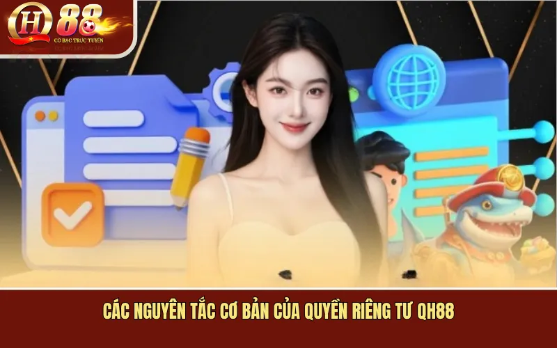 Các Nguyên Tắc Cơ Bản Của Quyền Riêng Tư QH88